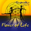 Sleepwalker - Flower Of Life (Cover)