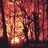 The Viking - Miasma (Cover)