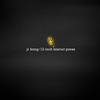 Jr Kong - 12 Inch Biscuit Press (Cover)