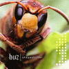 Buz - Shapeshifter (Cover)